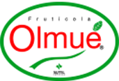 Frutícola Olmuè, Chile